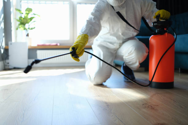 Affordable Sewage Cleanup solutions in Meyersville, TX